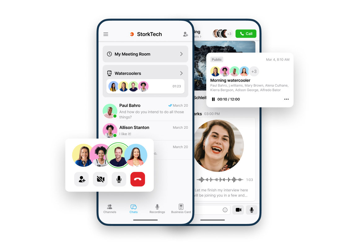 Stork mobile user interface